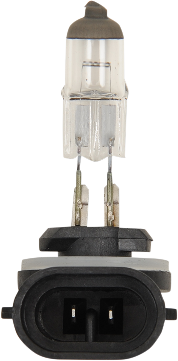 Halogen Bulb
