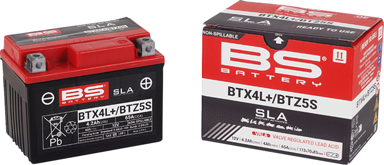 BS BATTERY SLA Factory- Activated AGM Maintenance-Free Battery