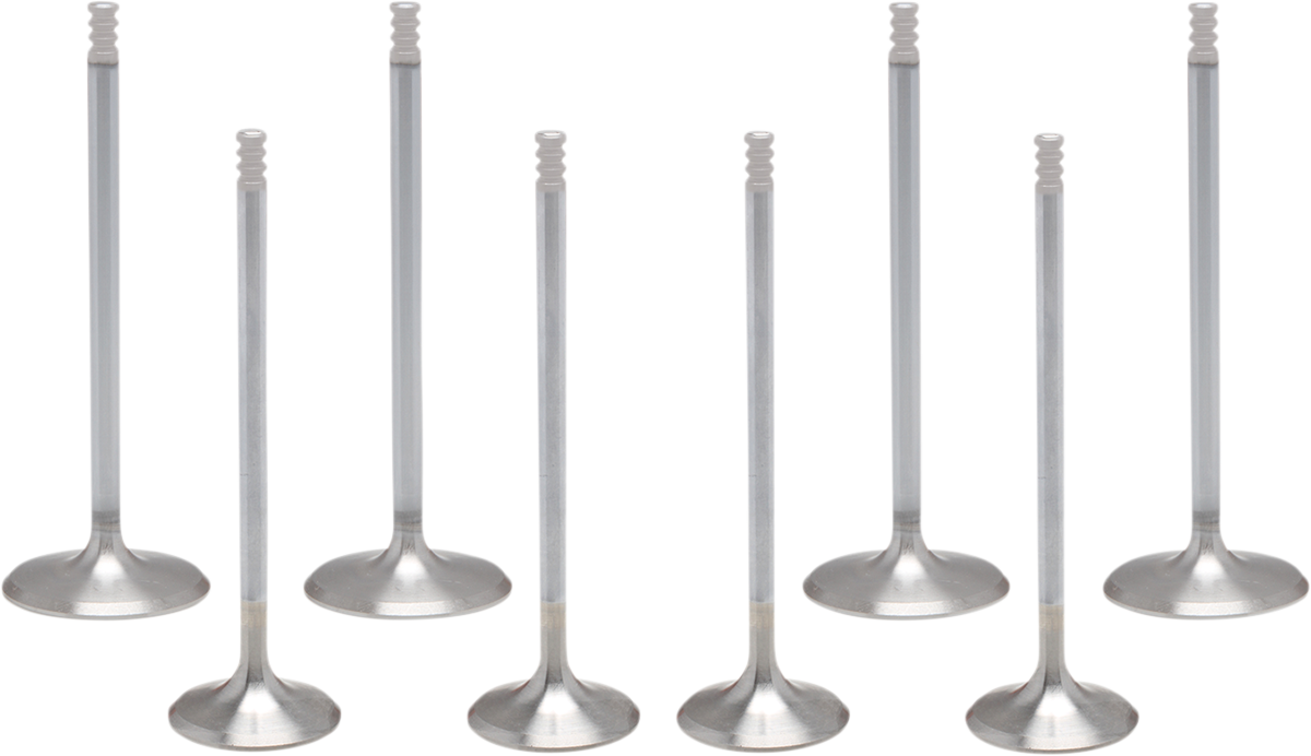 KIBBLEWHITE White Diamond® Valve Kit