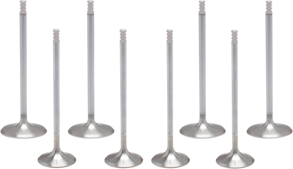 KIBBLEWHITE White Diamond® Valve Kit