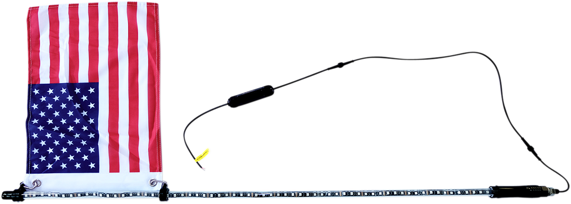 BRITE-LITES LED Color-Changing Whip Rod