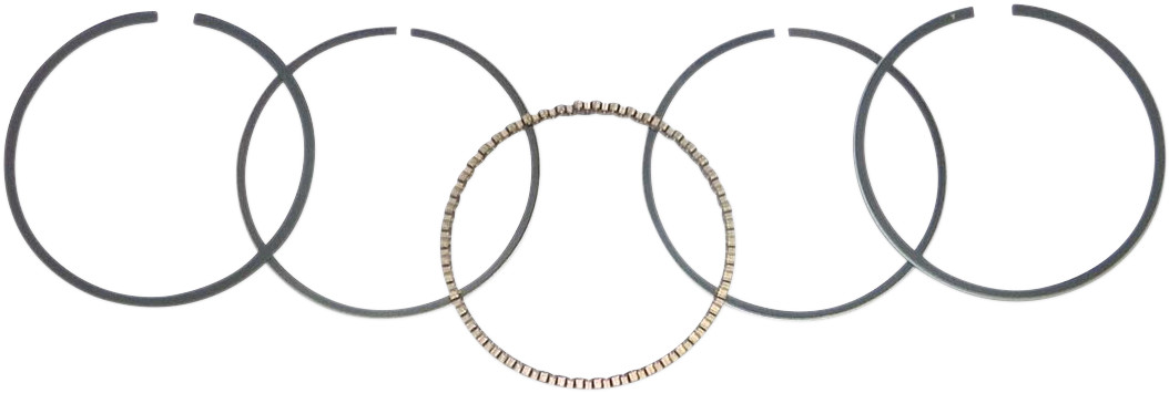 WSM Piston Rings
