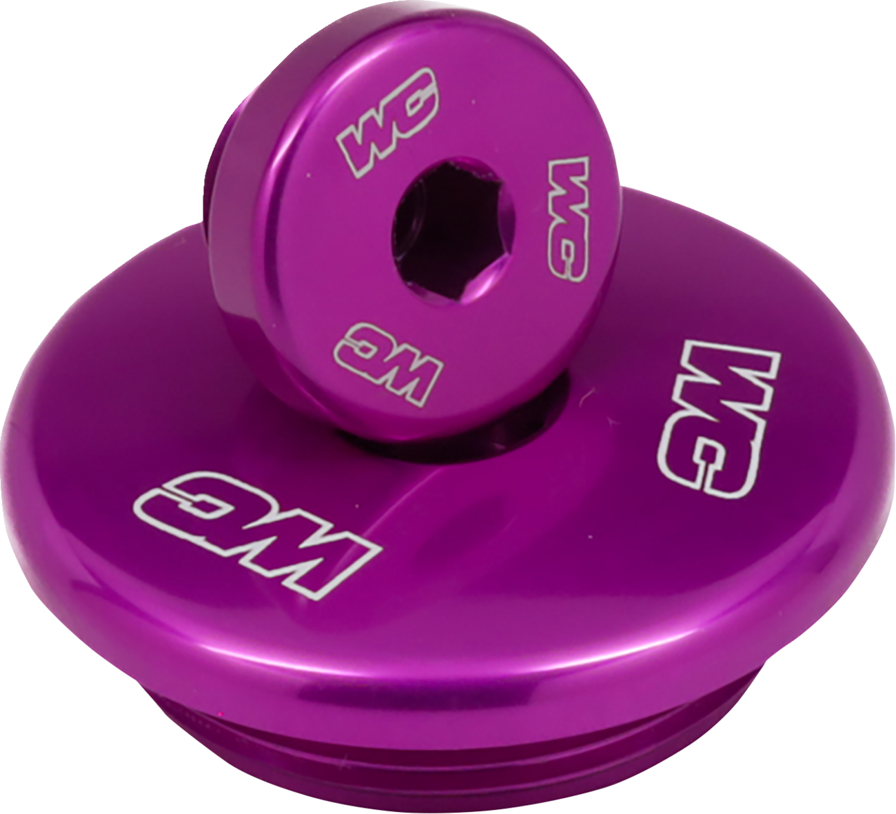 Engine Plug