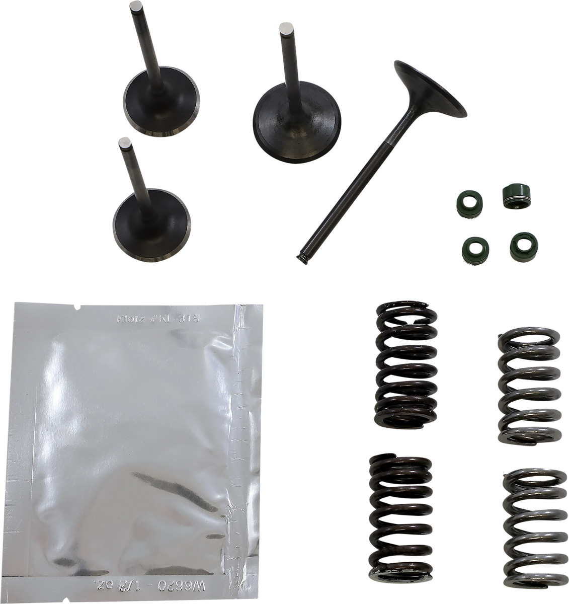 WISECO Valve Kit