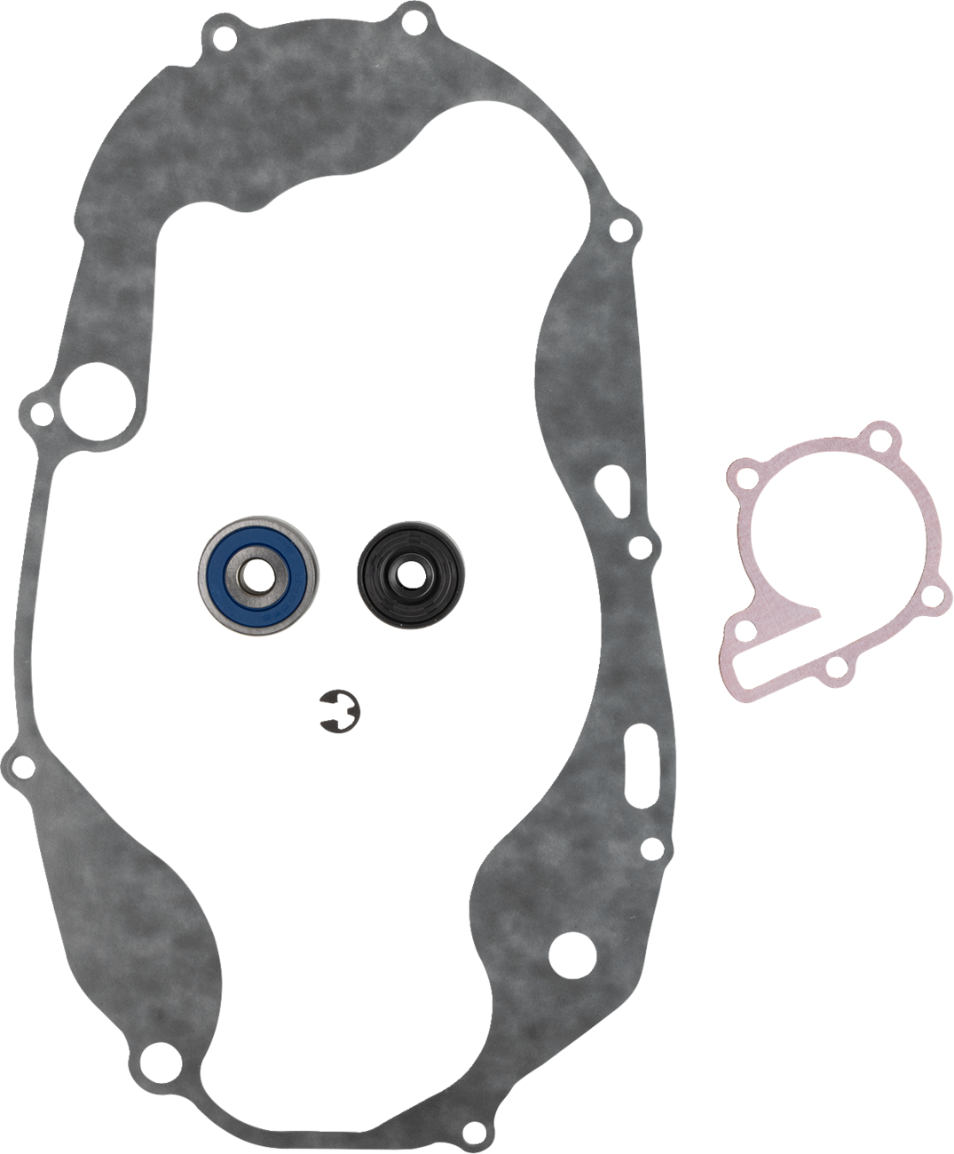Water Pump Rebuild Kit