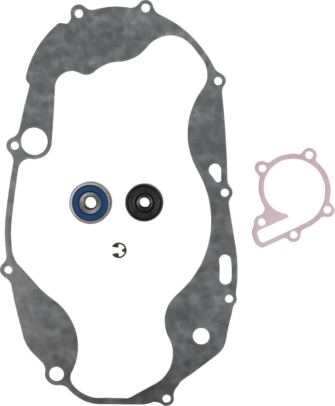 Water Pump Rebuild Kit