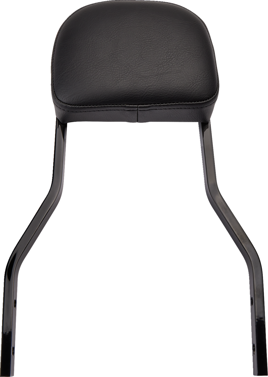 COBRA Detachable Backrest Kit