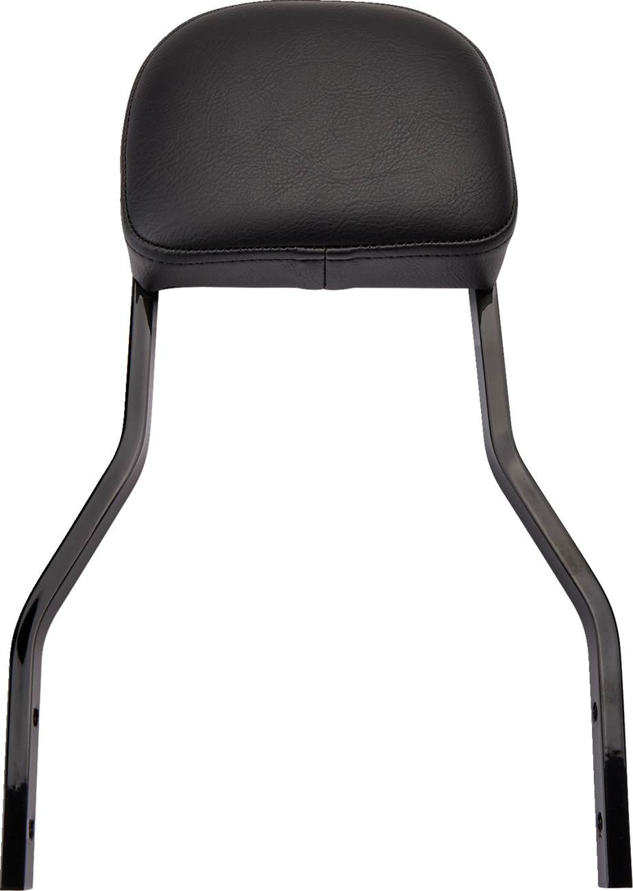 COBRA Detachable Backrest Kit