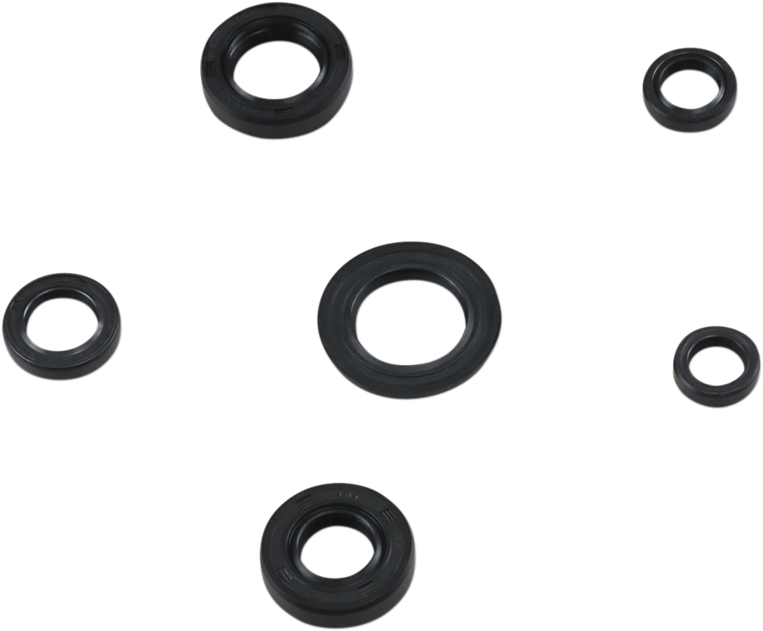 Oil Seal Kit