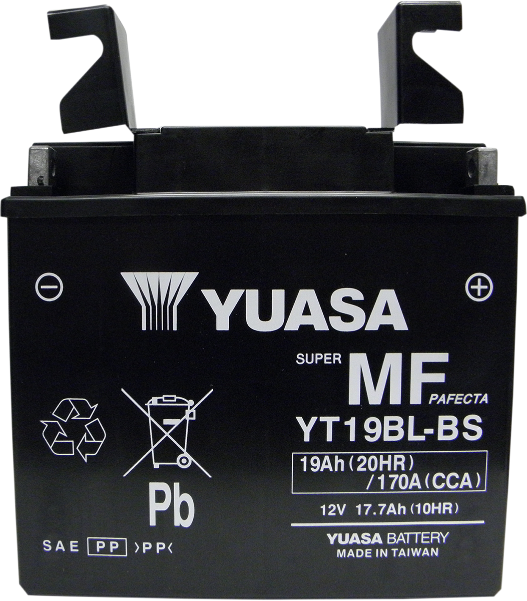 AGM Maintenance-Free Battery