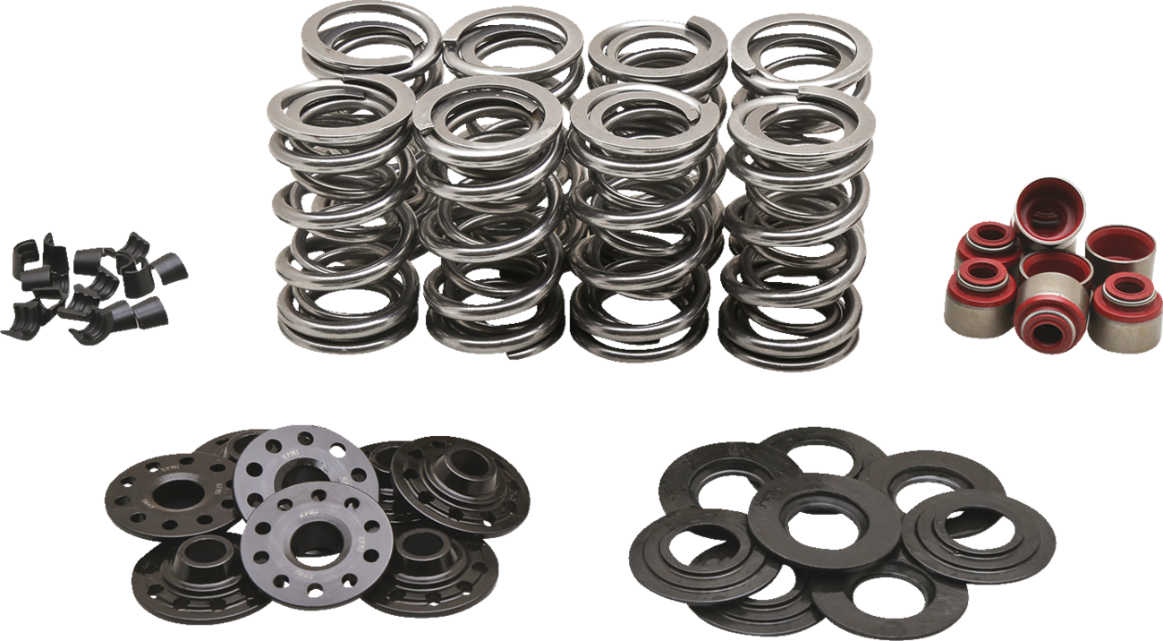 KIBBLEWHITE Valve Spring Kit