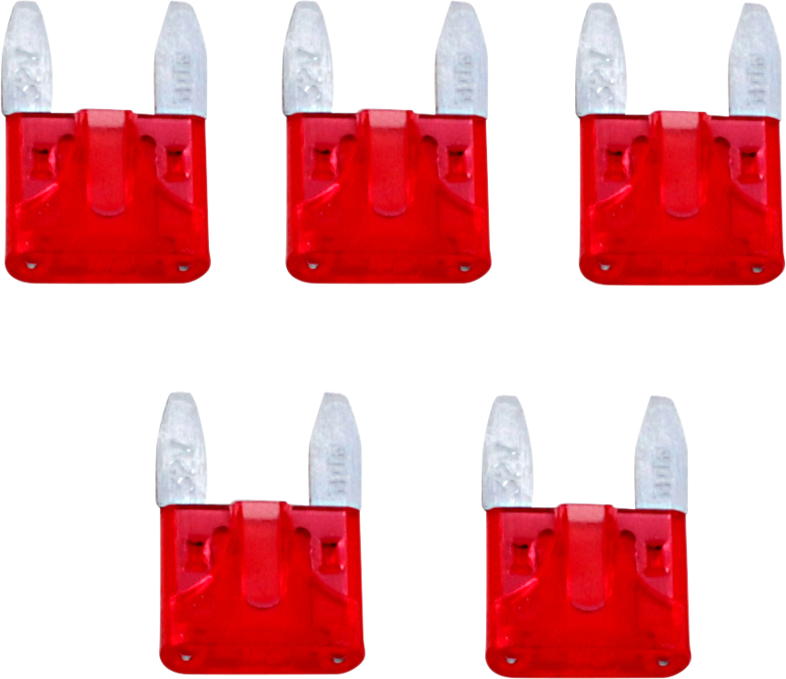 NAMZ Replacement Fuses