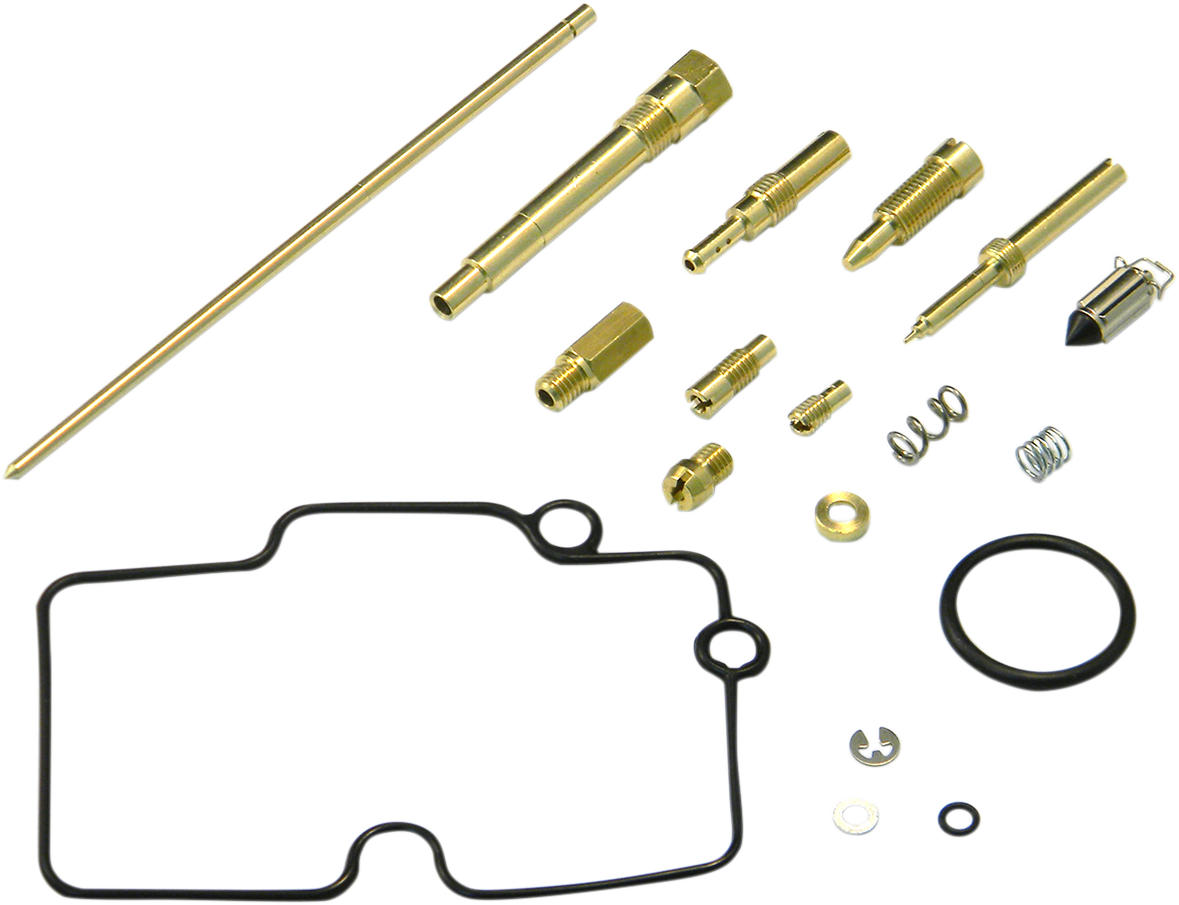 Carburetor Repair Kit