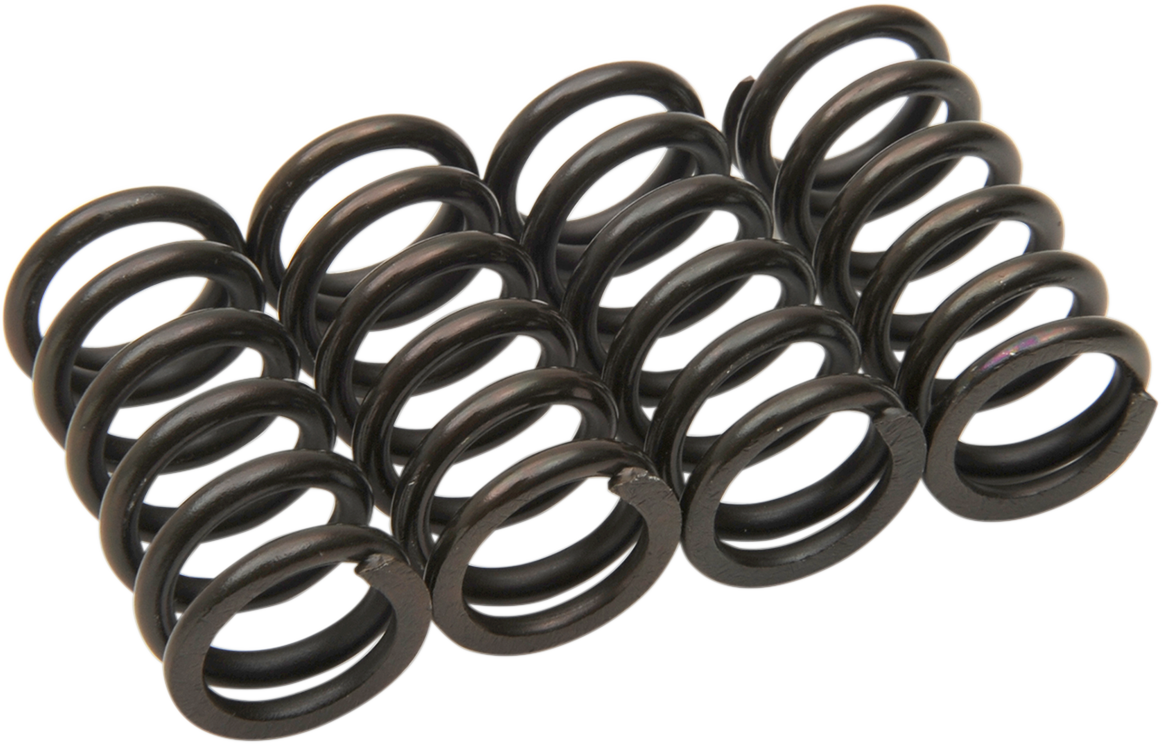 BARNETT Clutch Spring Kit