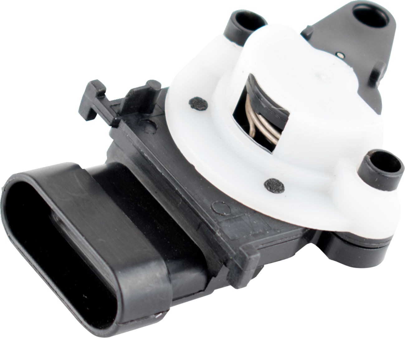 WSM Fuel Injection Management - 004526 image 4 of 4