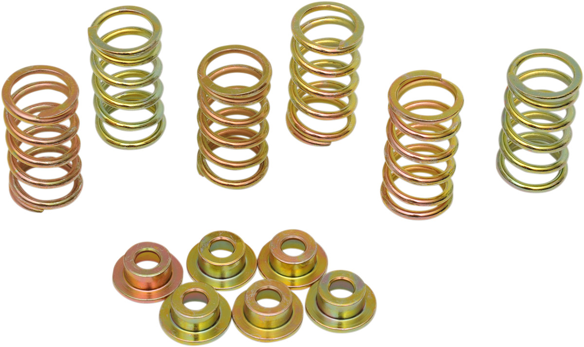BARNETT Clutch Spring Kit