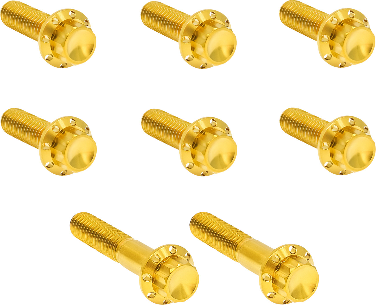 ARLEN NESS Transmission Trap Door Titanium 12-Point Bolt Kit — For 6-Speed Transmission