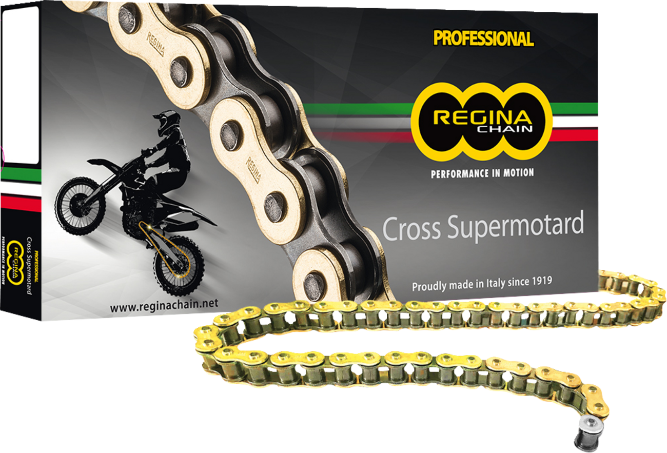 Regina 520 RH2 - Drive Chain - 120 Links