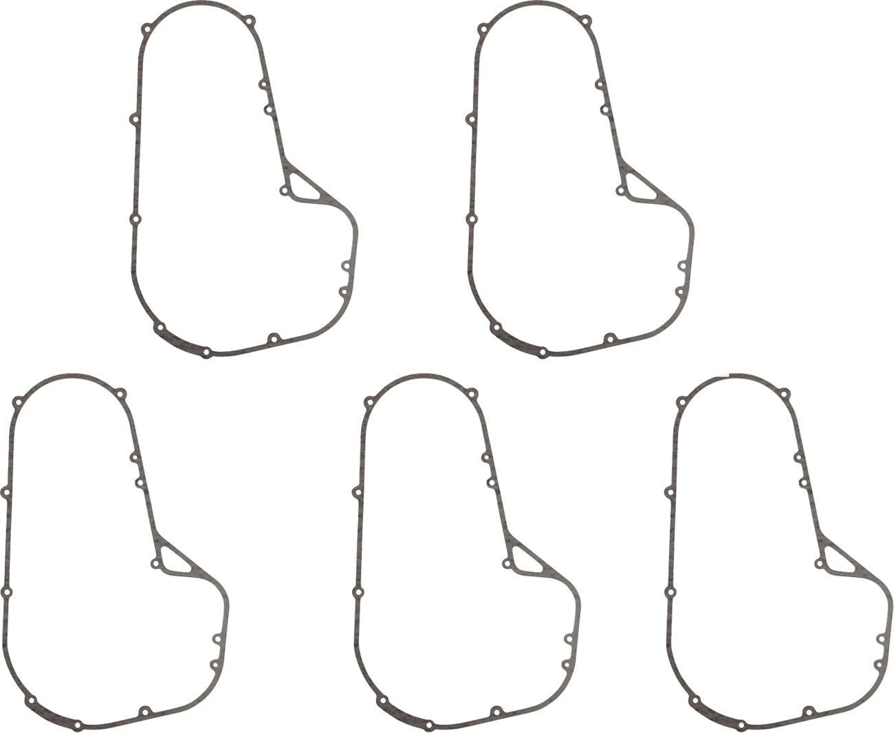 Primary Gasket