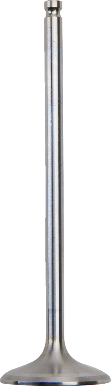 XCELDYNE Intake Valve