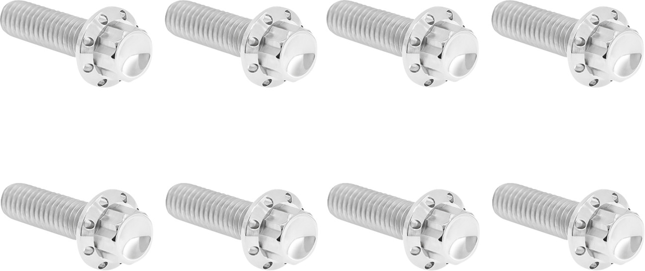 ARLEN NESS Transmission Trap Door Titanium 12-Point Bolt Kit — For M8 Models