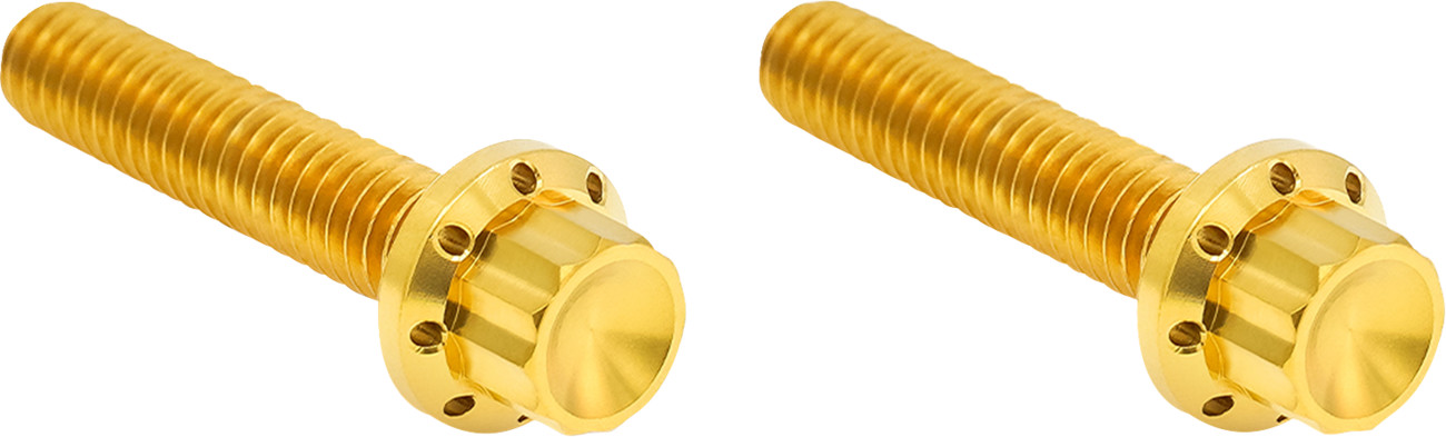 ARLEN NESS Transmission Side Cover Titanium 12-Point Bolt Cover