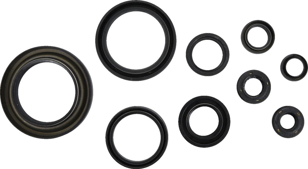 Oil Seal Kit