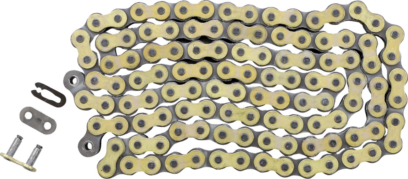 Regina 520 RX3 Series Chain