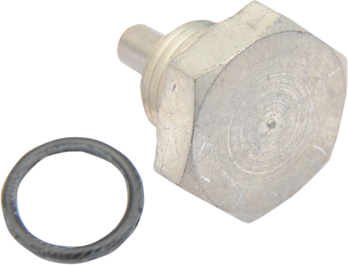 Magnetic Drain Plug