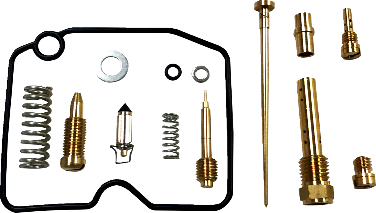 Carburetor Repair Kit