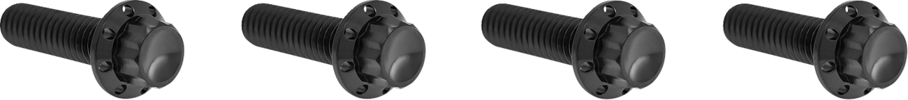 ARLEN NESS Transmission Top Cover Titanium 12-Point Bolt Kit