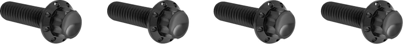 Arlen Ness 12-Point Titanium Transmission Top Cover Bolt Kit For Harley 2023-2026