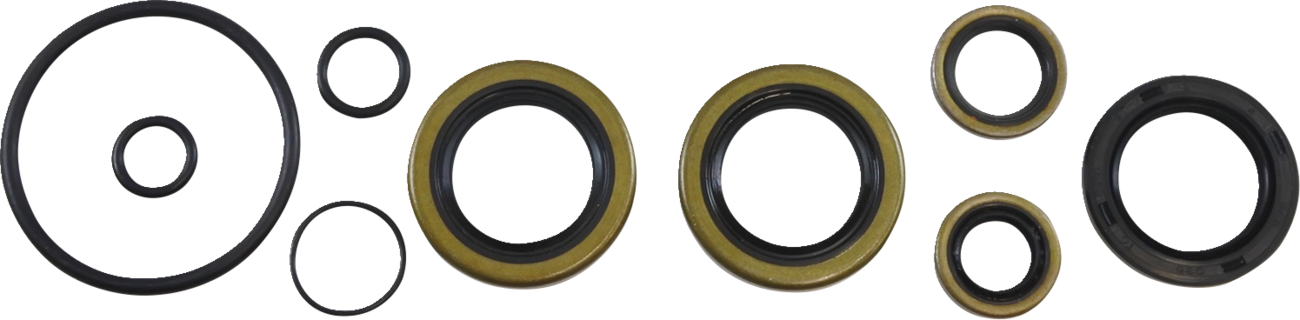 Oil Seal Kit