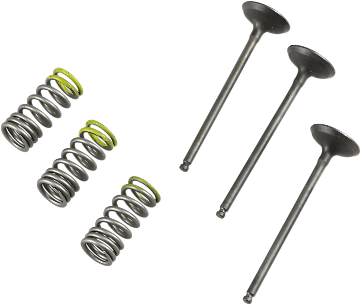 Prox Valve and Spring Kit - Intake - Gas Gas | Yamaha