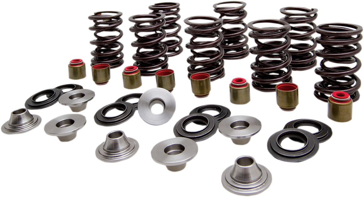 Valve Spring Kit