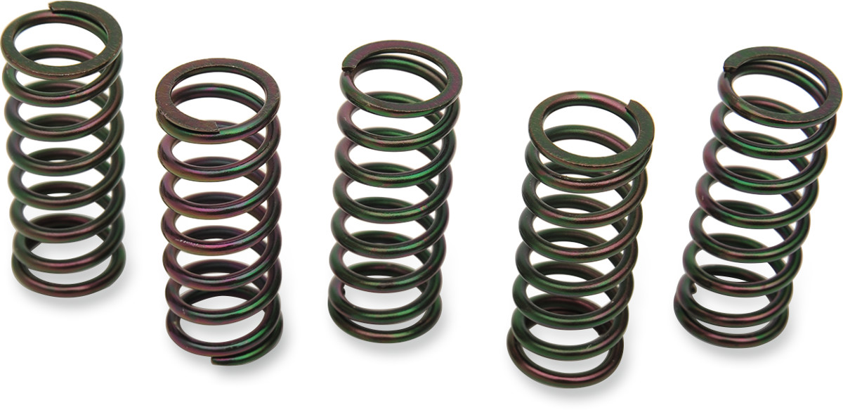BARNETT Clutch Spring Kit