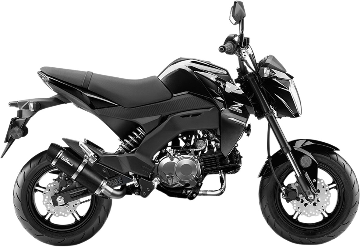 LEOVINCE GP Corsa Evo Exhaust System
