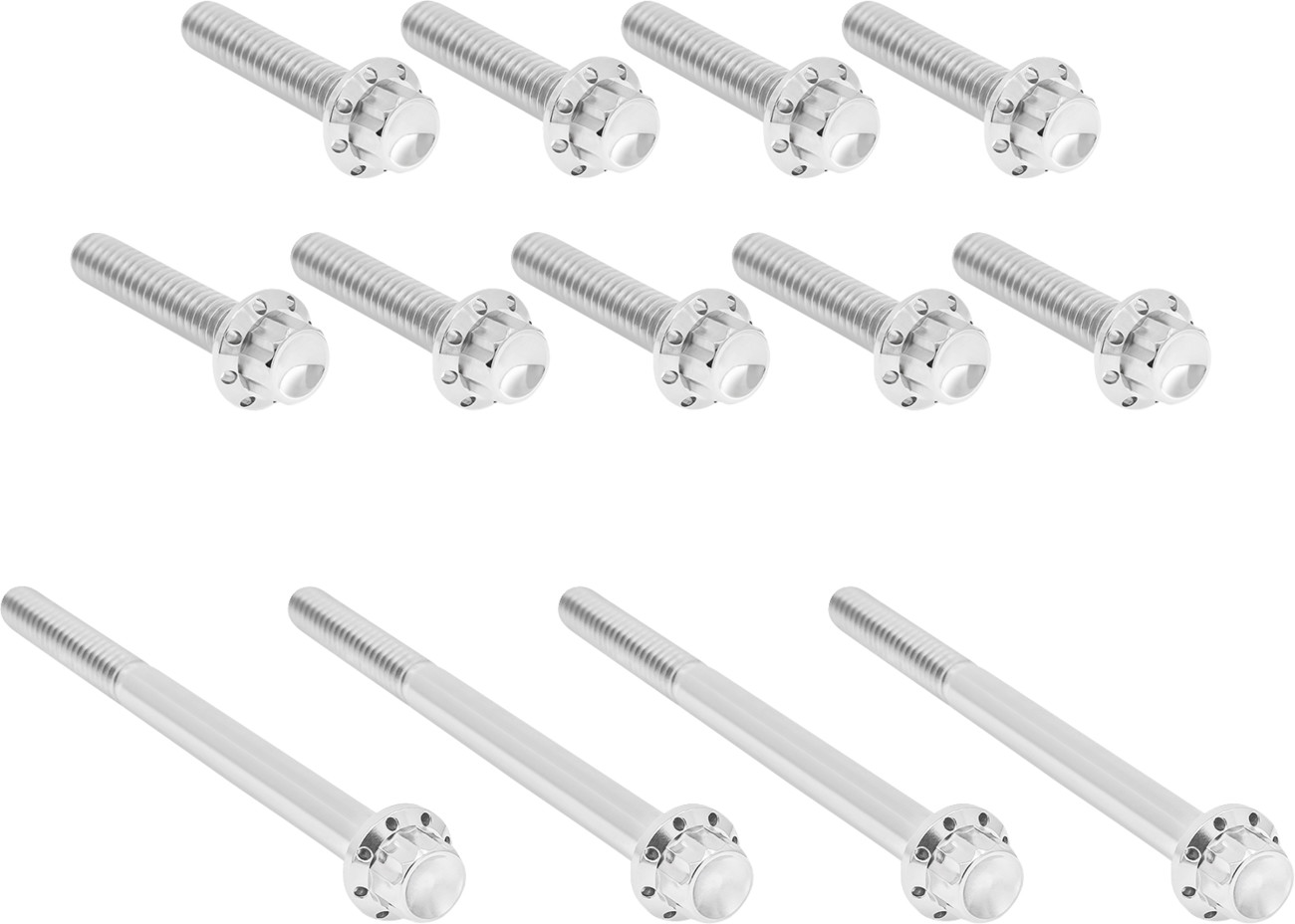 Arlen Ness 12-Point Titanium Primary Bolt Kit For Harley Touring 2007-2016