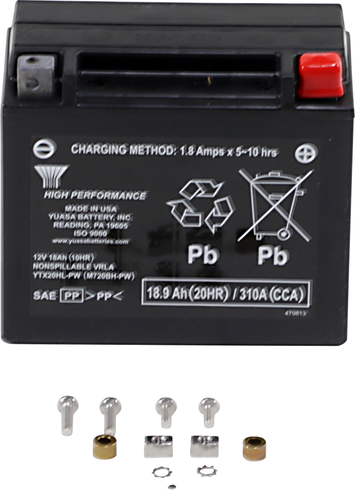 Yuasa Maintenance-Free Battery