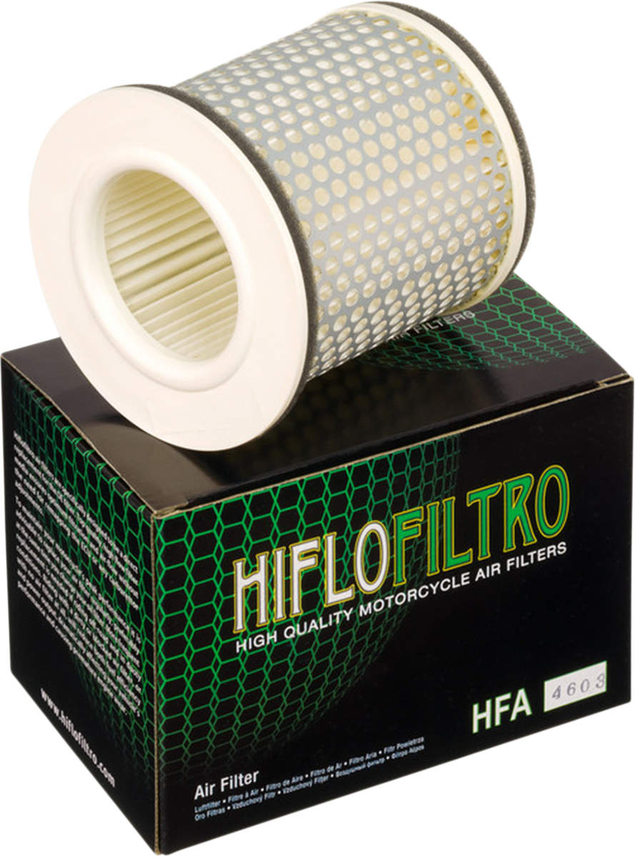 HIFLOFILTRO Air Filter