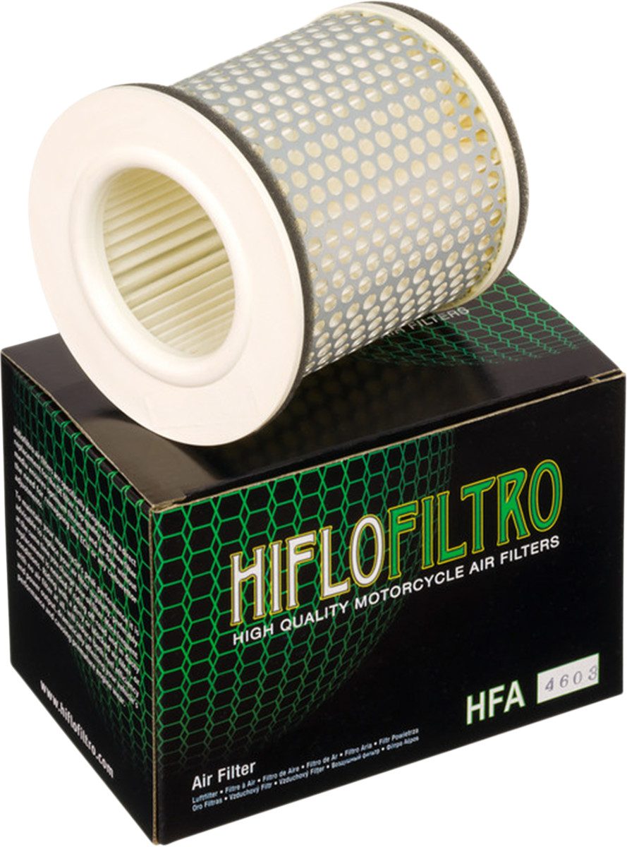 HIFLOFILTRO Air Filter