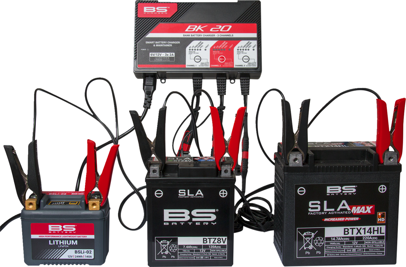 BS BATTERY BK 20 Smart Bank Battery Charger and Maintainer with Reconditioning Function