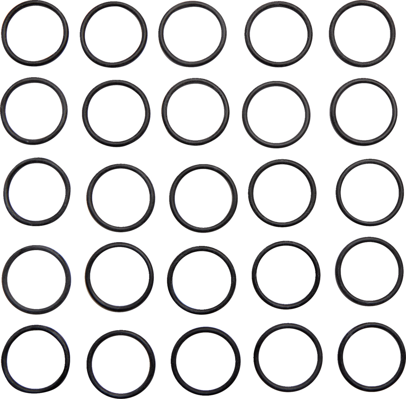 Tappet Guide Block O-Ring