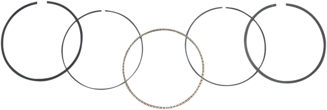 WSM Piston Rings