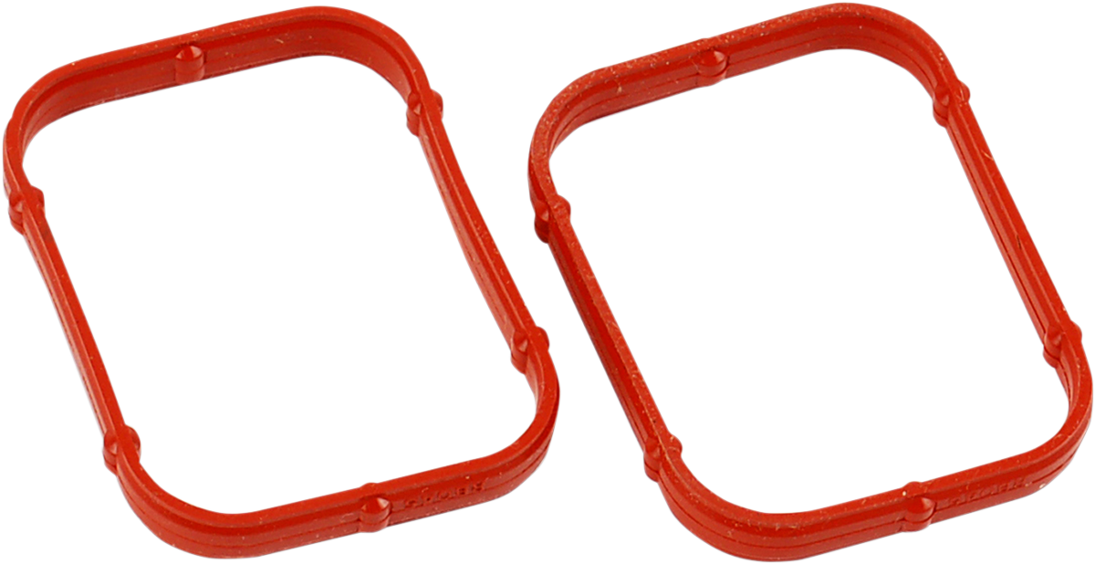 Rocker Gasket