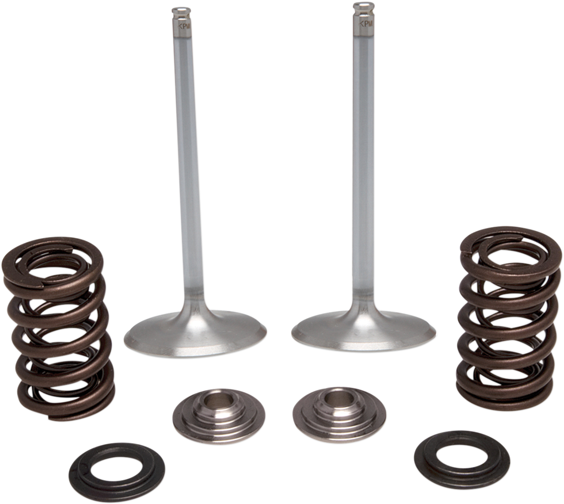 KIBBLEWHITE Intake Stainless Conversion Valve and Spring Kit