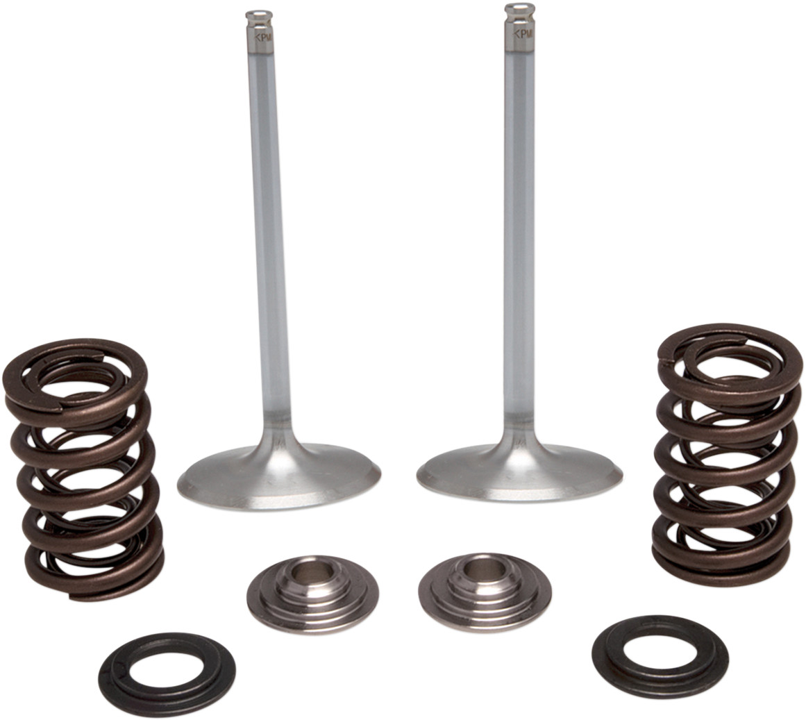 KIBBLEWHITE Intake Stainless Conversion Valve and Spring Kit
