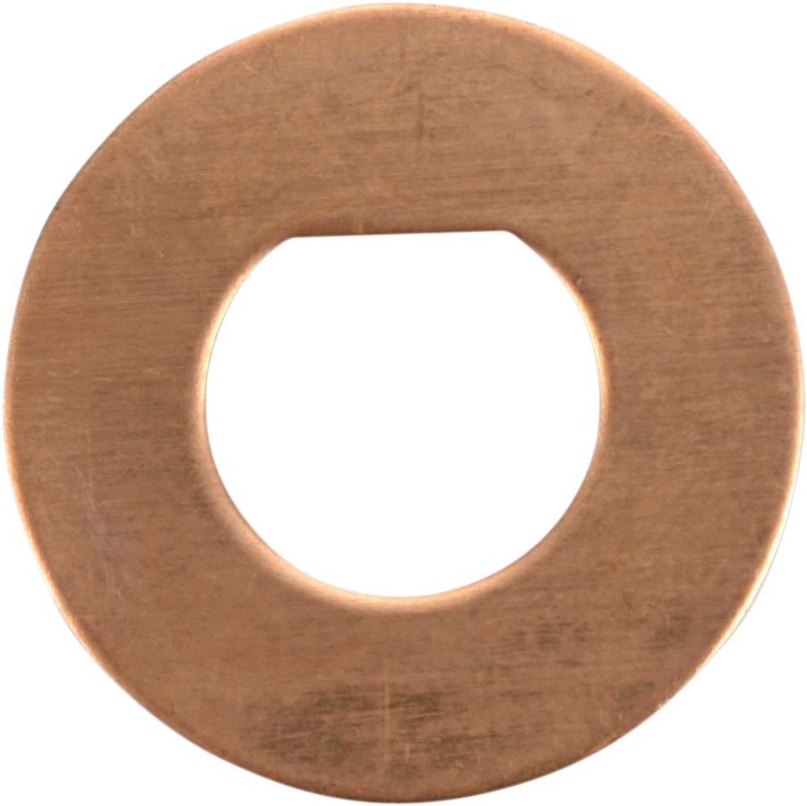 Cycle craft Friction Washers - 10 Pack Honda