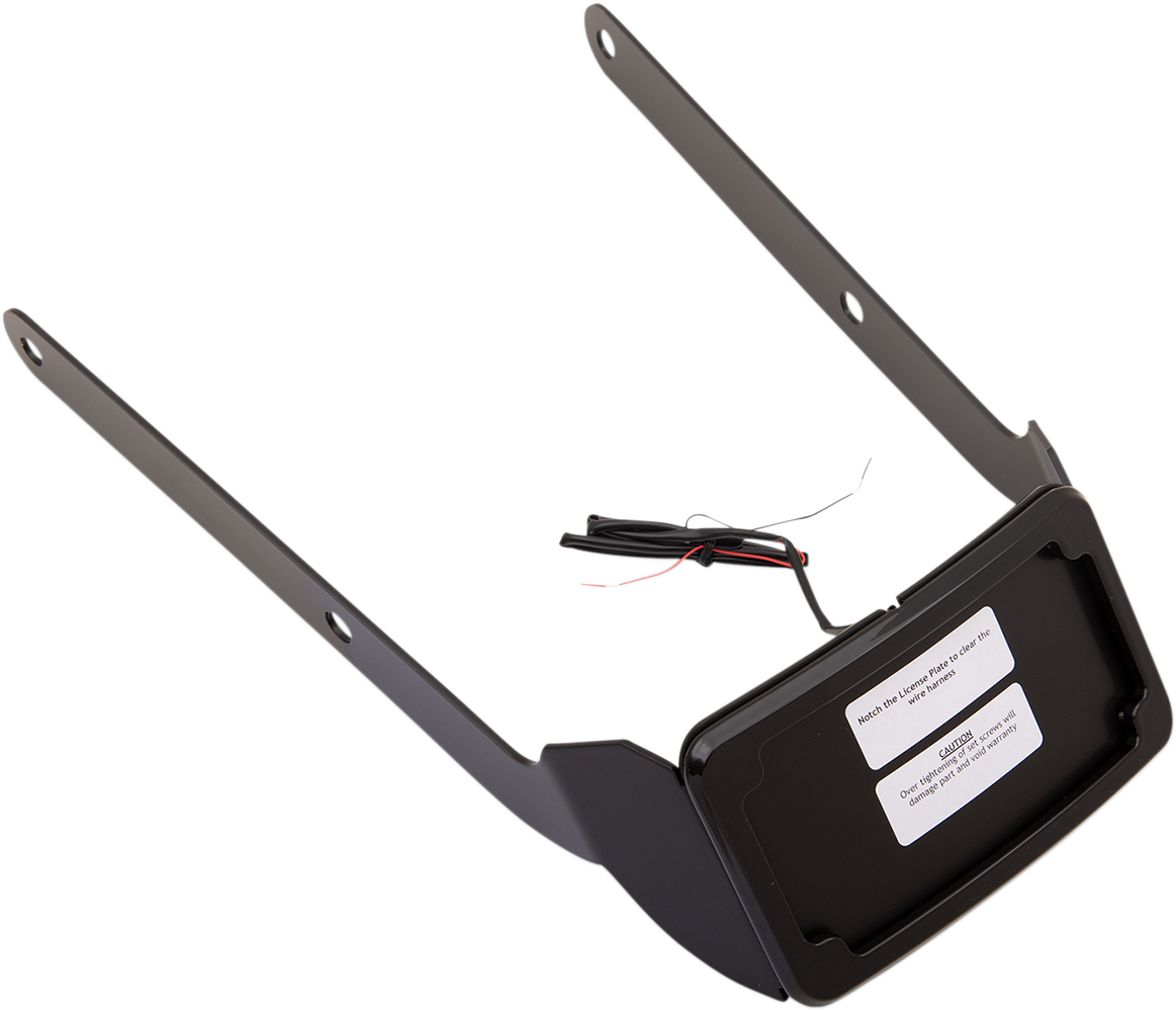 CYCLE VISIONS Curved License Mount with Frame