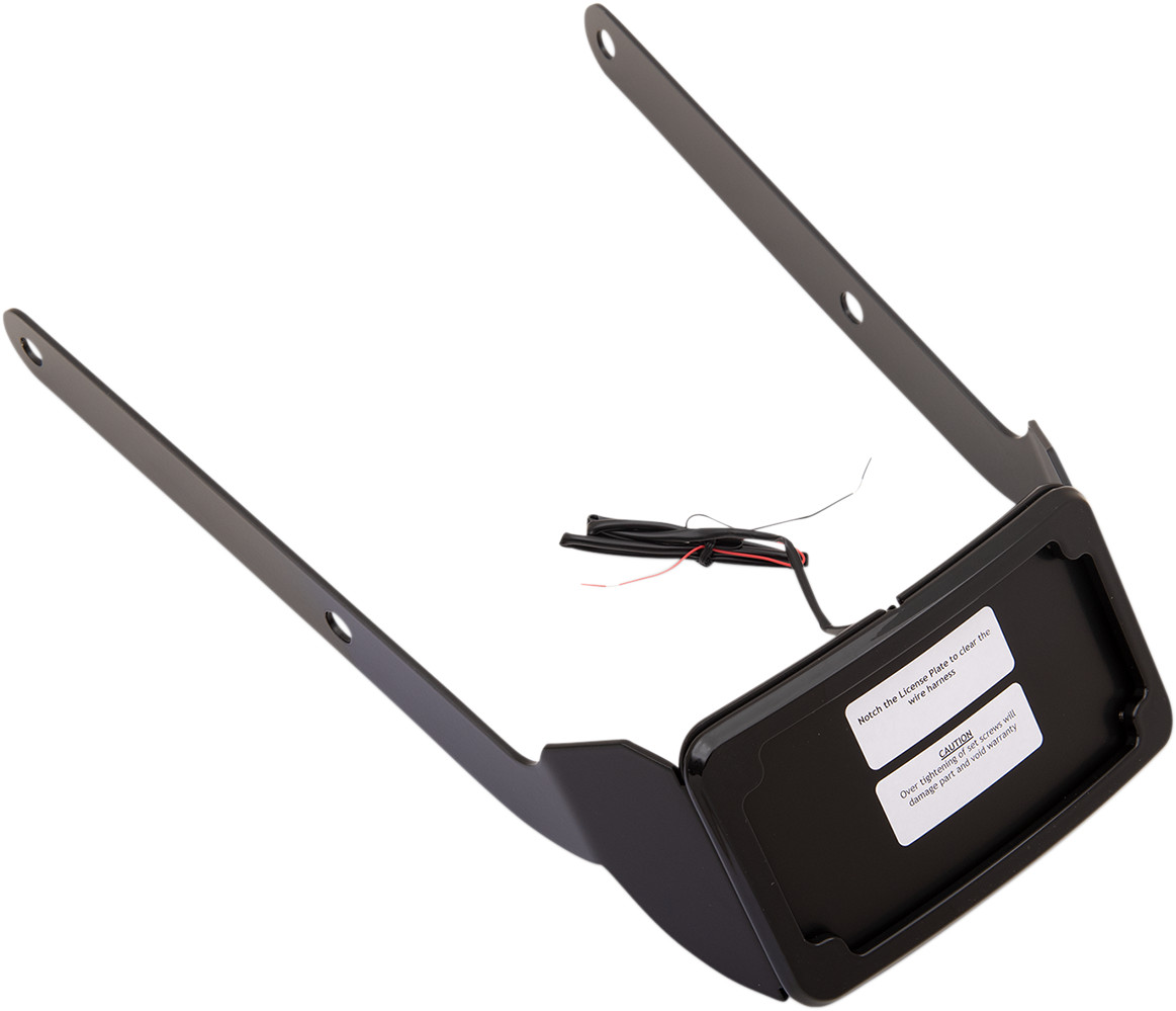 CYCLE VISIONS Curved License Mount with Frame